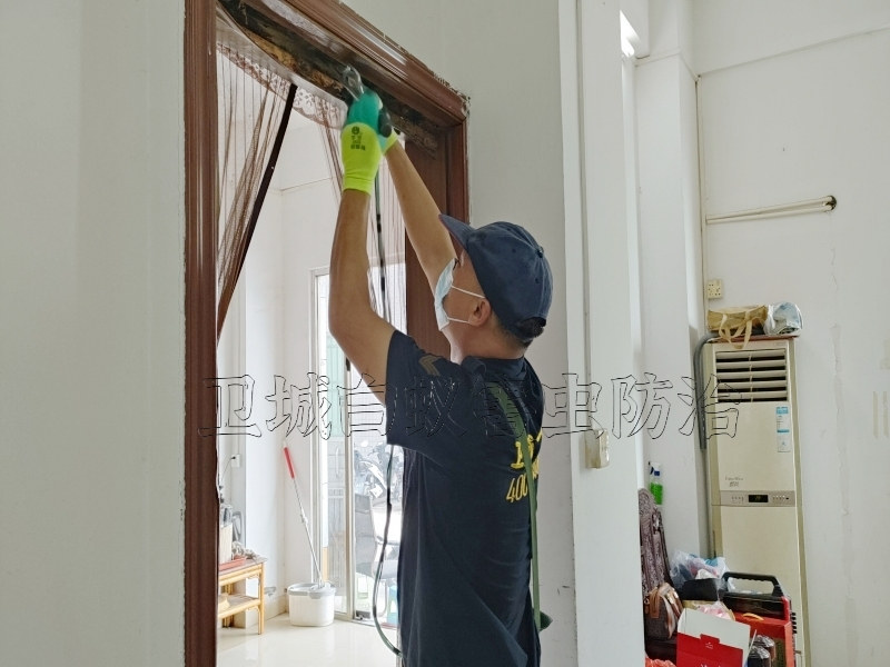 深圳福永白蚁防治中心,深圳永福灭白蚁公司