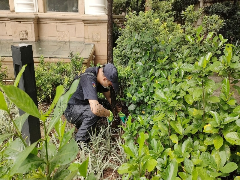 深圳观澜白蚁防治中心,今日优秀推荐观澜白蚁防治所,观澜灭白蚁公司