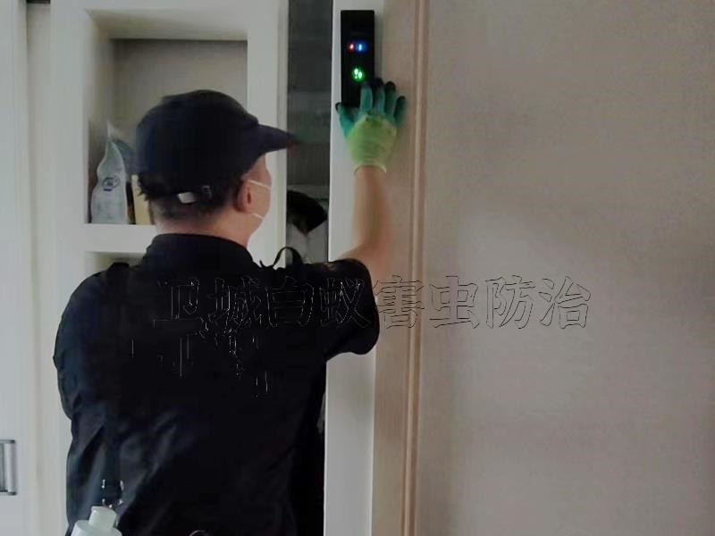 光明灭白蚁公司,光明杀白蚁公司,光明除白蚂蚁中心