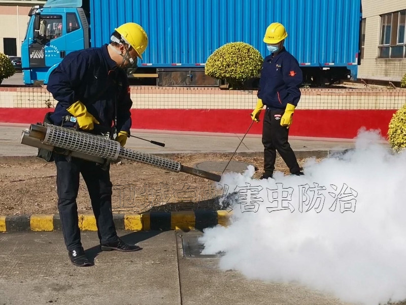 常平杀臭虫公司,东莞常平灭臭虫公司,木床板臭虫防治,常平臭虫防治