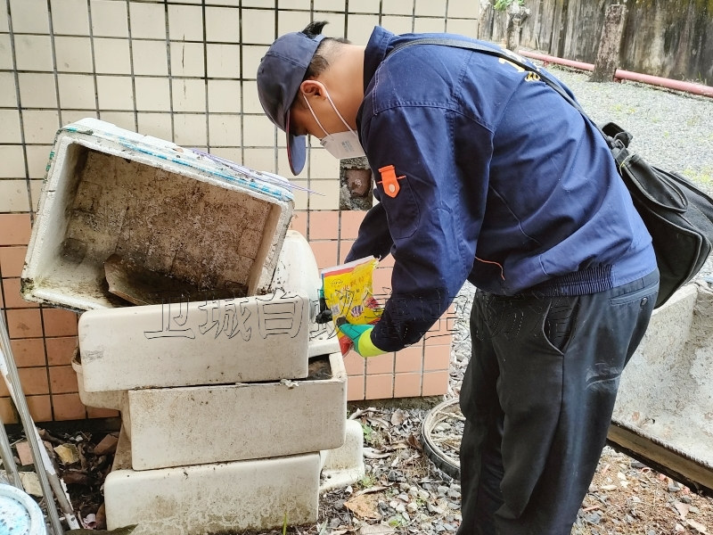 大朗杀臭虫公司,东莞大朗灭臭虫公司,床板吸血臭虫防治,大朗臭虫防治