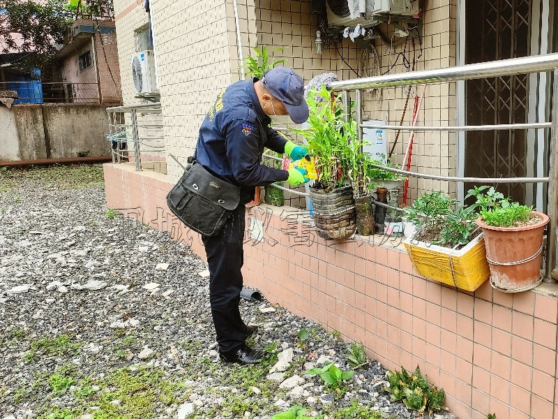 东莞大朗除四害公司丨东莞市政推荐｛大朗除四害｝灭蚊蝇杀臭虫公司