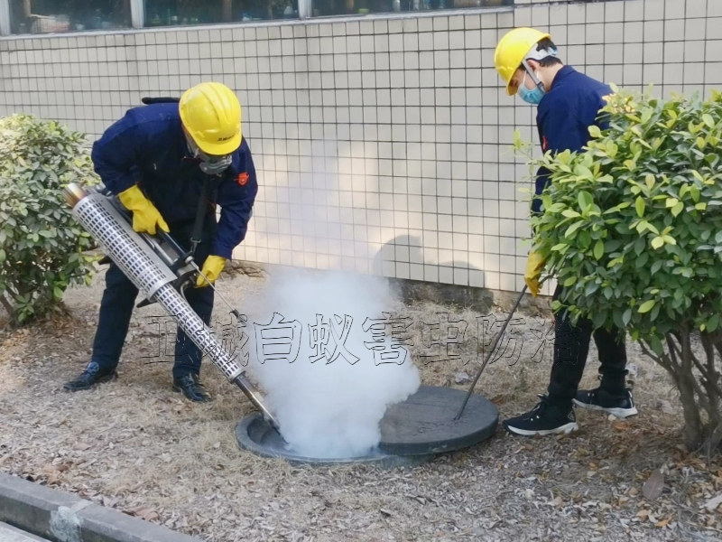 惠州惠阳除四害公司,惠州惠阳消杀四害,惠阳虫害消杀公司,惠阳除四害公司