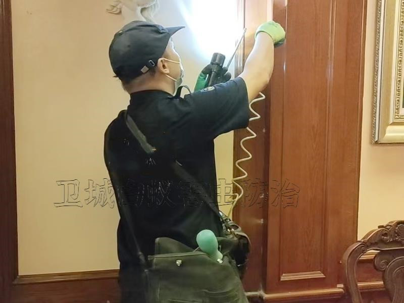 惠州白蚁防治所除四害公司，惠阳惠城灭白蚁公司